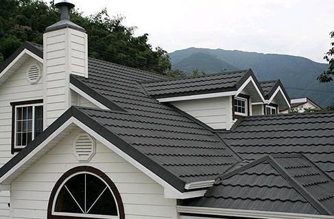 迪斯卡维彩麟金属瓦应用建筑屋面效果图