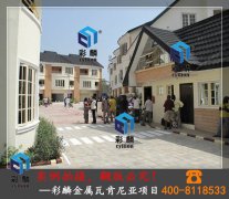 彩麟金属瓦肯尼亚项目案例