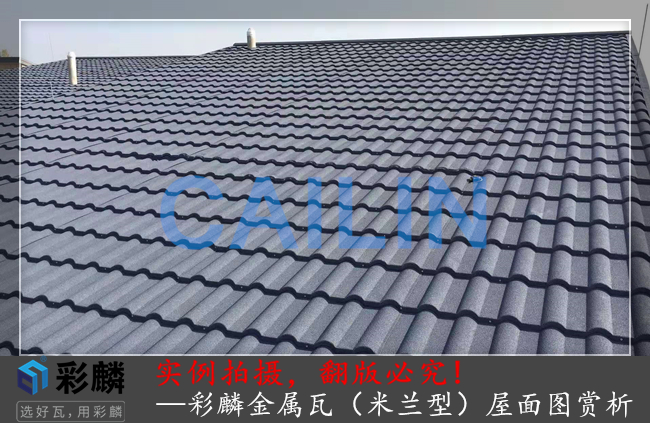 彩麟金属瓦米兰型屋面赏析图1