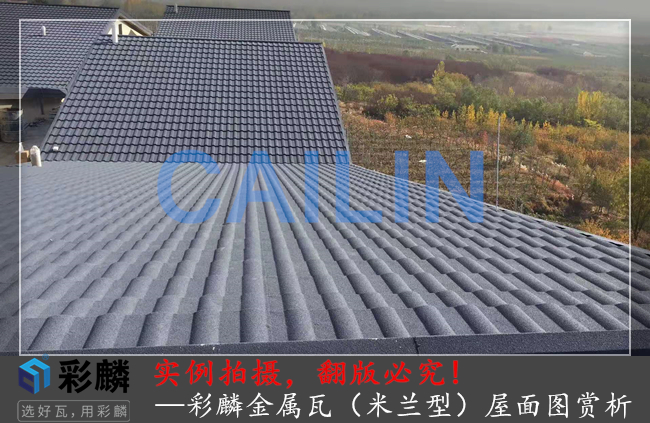 彩麟金属瓦米兰型屋面赏析图1
