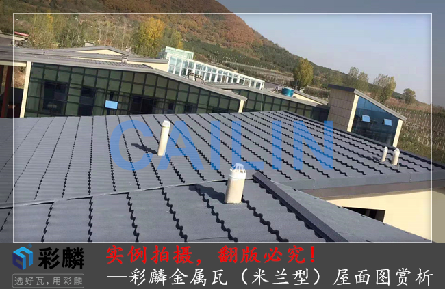 彩麟金属瓦米兰型屋面赏析图1