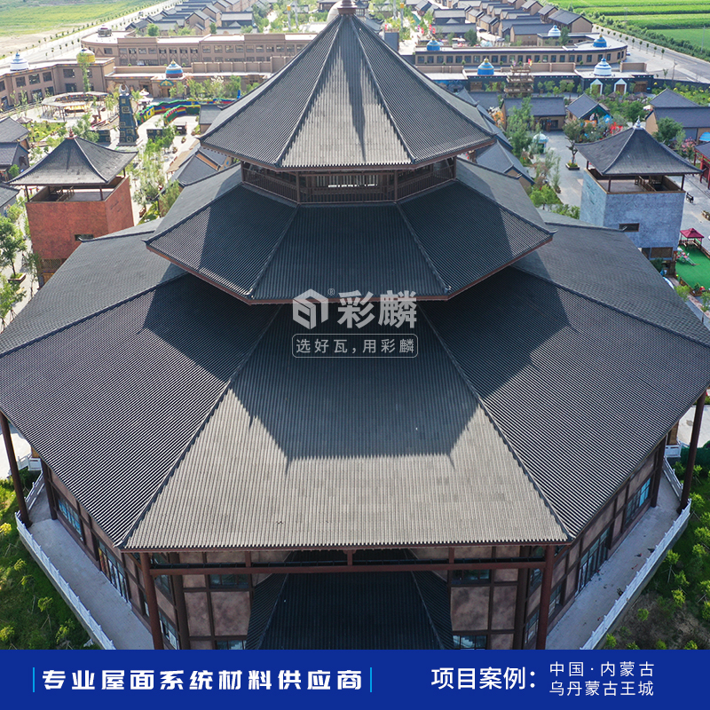 蒙古王城项目案例