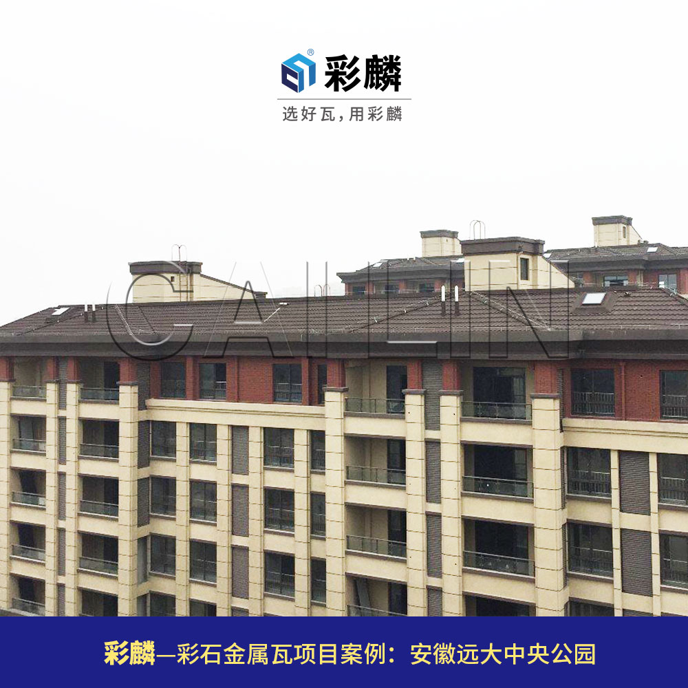 安徽远大中央公园2.jpg