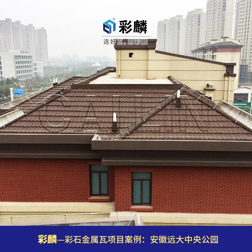 安徽远大中央公园4.jpg