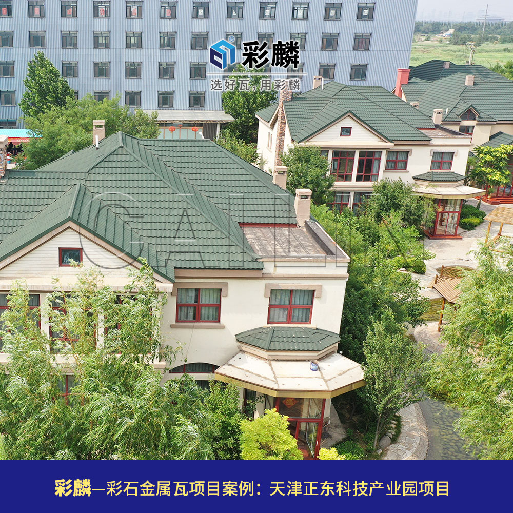 天津正东科技园金属瓦项目