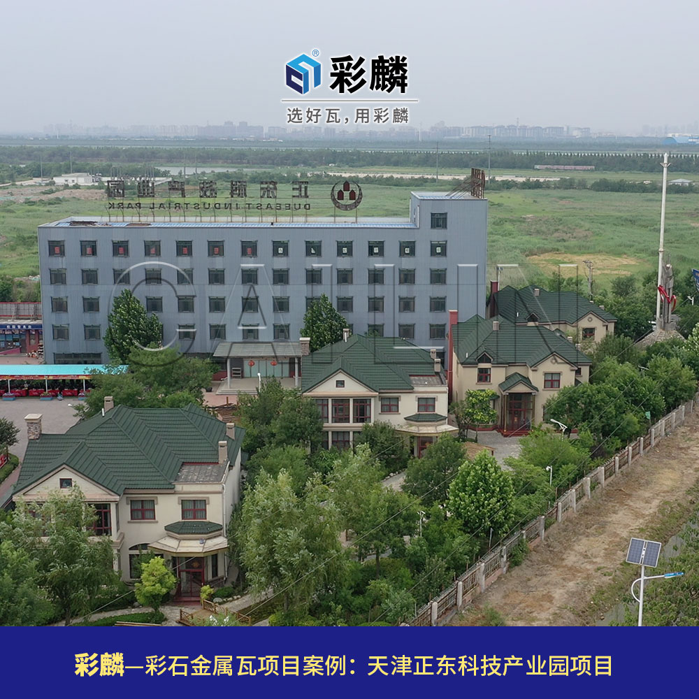 彩麟金属瓦天津正东科技园