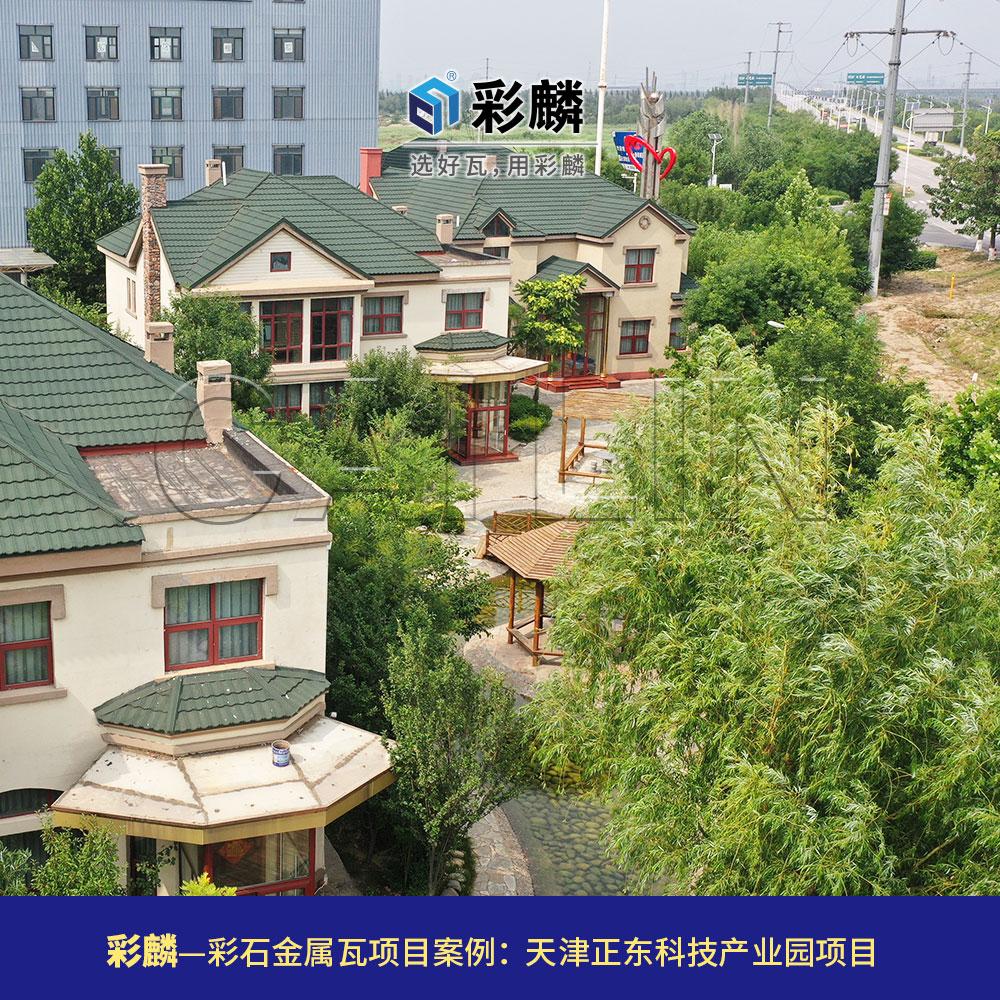 彩麟金属瓦天津正东科技园项目