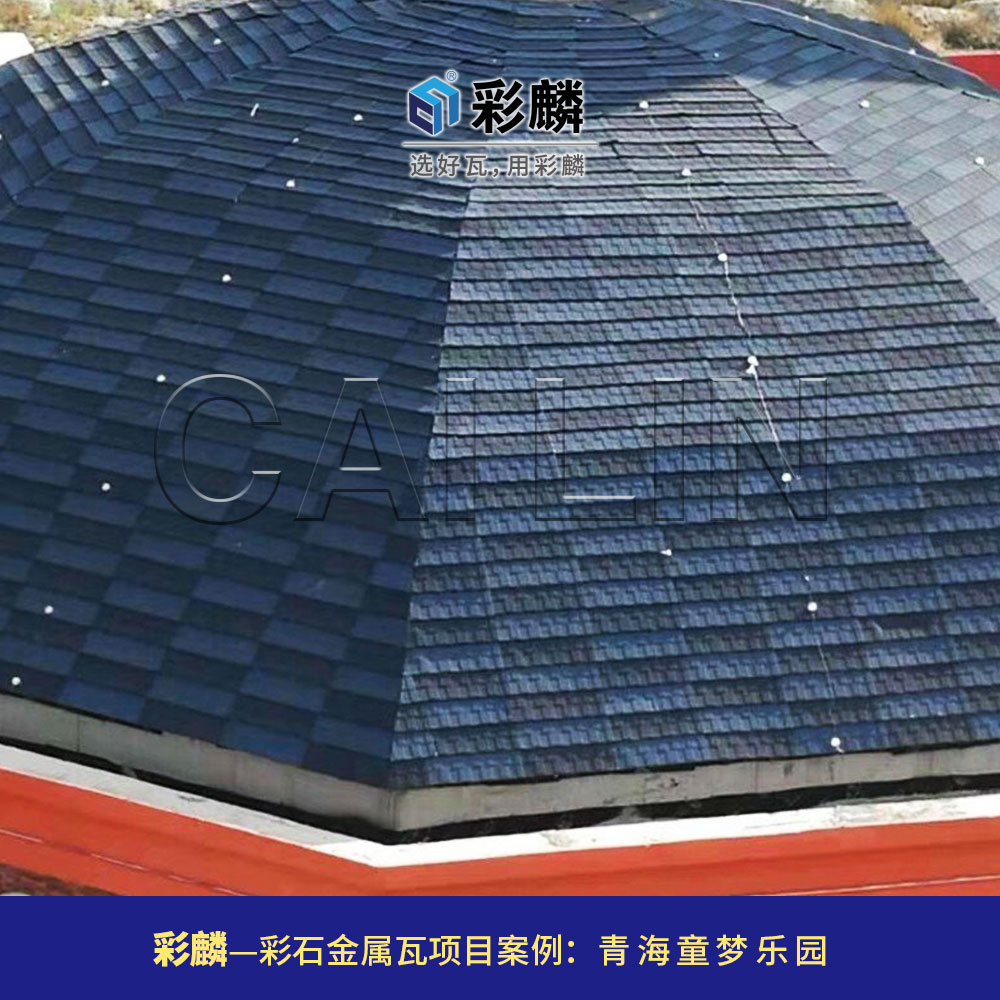 青海童梦乐园